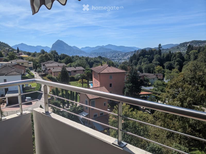 Affittasi appartamento 2.5 locali a Davesco (4)