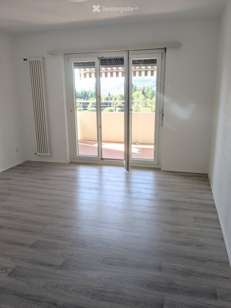 Affittasi appartamento 2.5 locali a Davesco (1)
