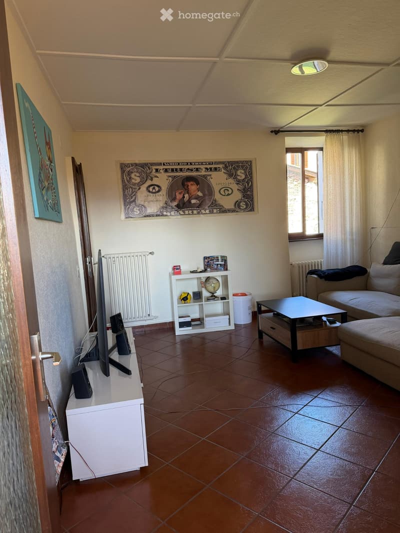 Grazioso e luminoso 2.5 locali CHF 900. tutto incluso (4)
