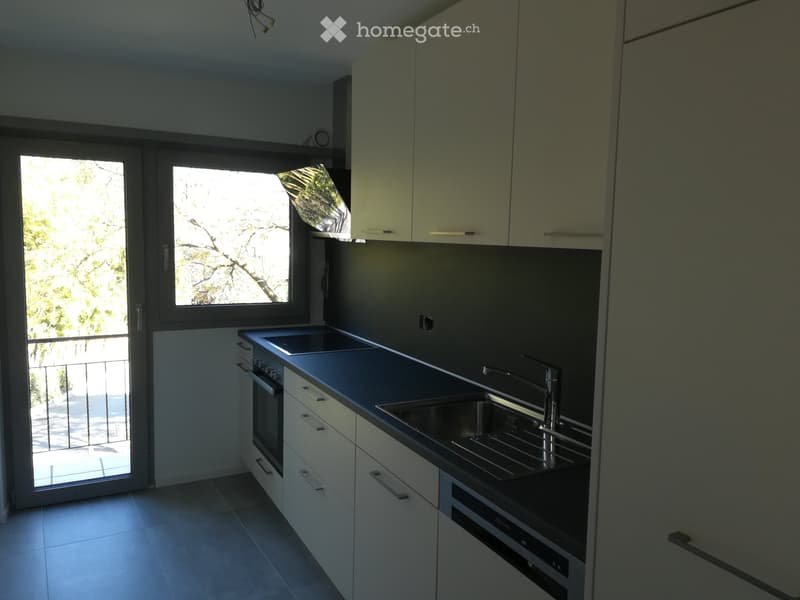 spazioso appartamento 3,5 locali ad agno (5)
