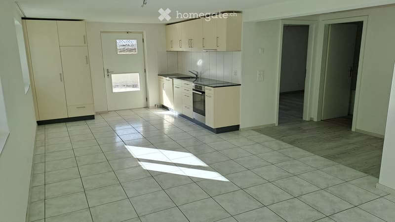 Helle 2.5 Zi Wohnung mit Terrasse (3)