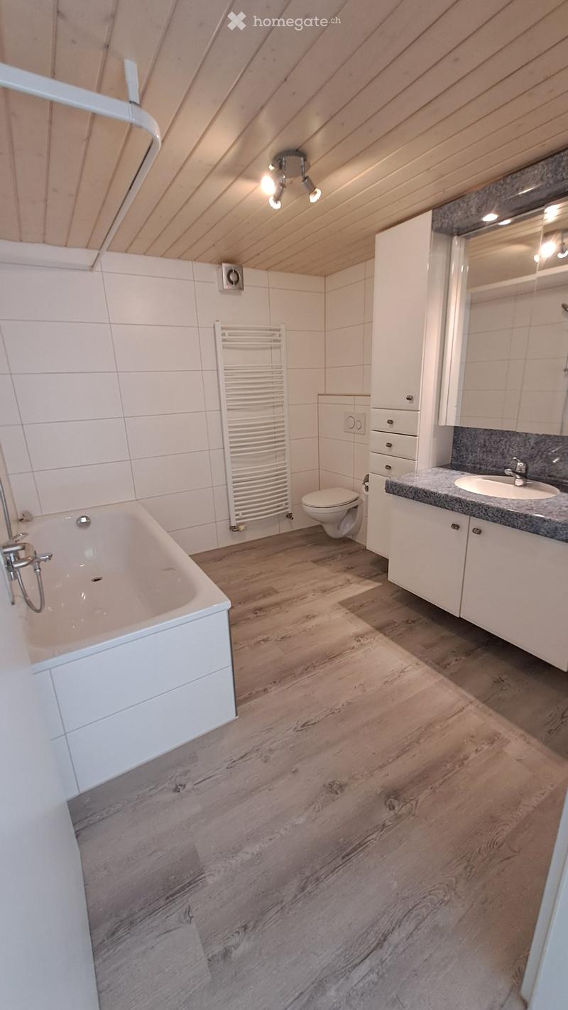 Helle 2.5 Zi Wohnung mit Terrasse (6)
