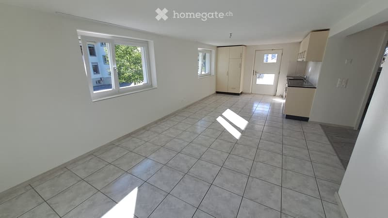 Helle 2.5 Zi Wohnung mit Terrasse (2)