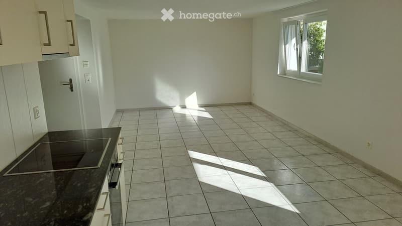 Helle 2.5 Zi Wohnung mit Terrasse (4)