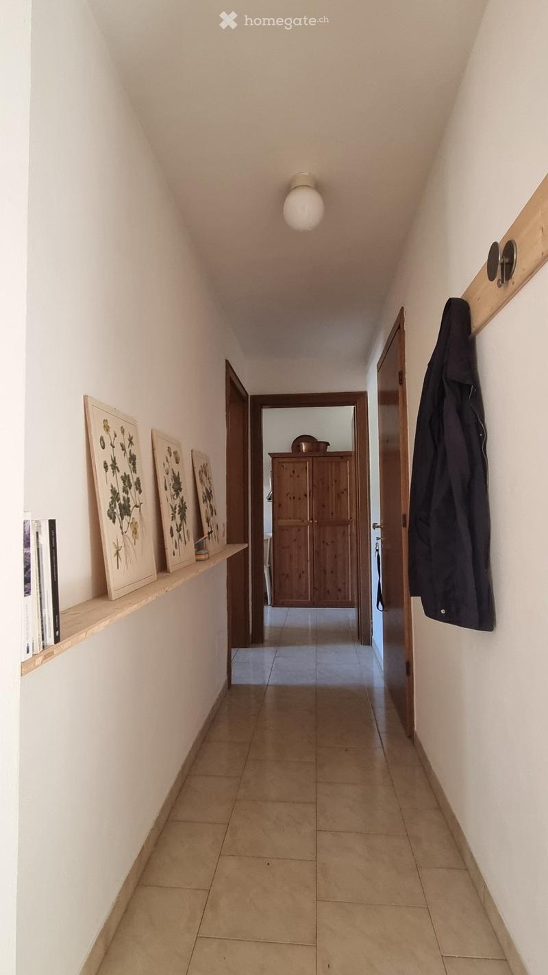 Appartamento 2 ½ cerco subentrante (5)