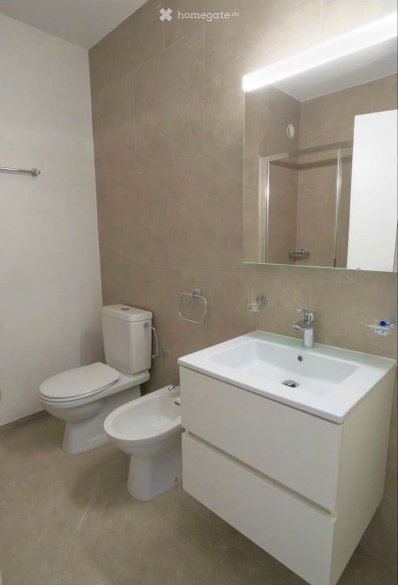 Appartamento in affitto 2.5 RISTRUTTURATO (2)