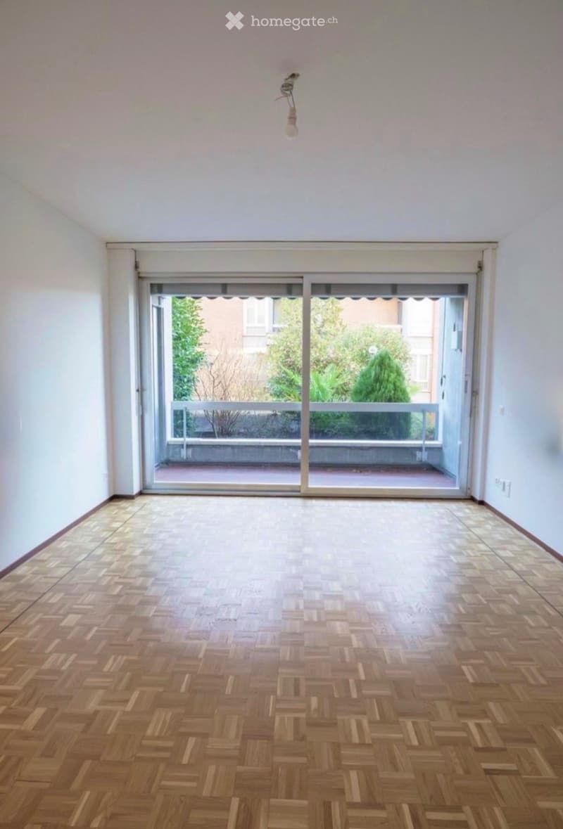 Appartamento in affitto 2.5 RISTRUTTURATO (3)