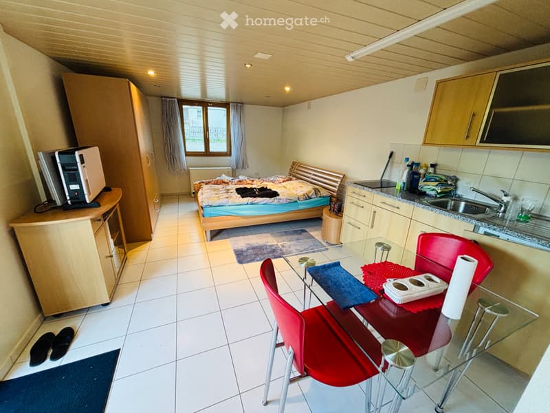 Schönes Studio in Wolhusen per sofort zu vermieten (1)