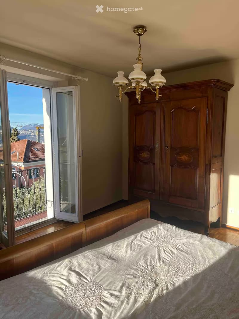 Appartamento soleggiato, Camino, Terrazza vista lago/citta (4)