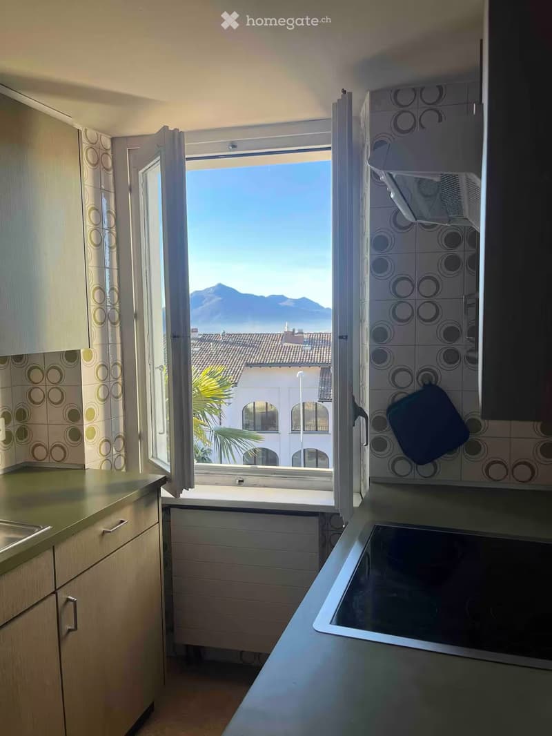 Appartamento soleggiato, Camino, Terrazza vista lago/citta (5)