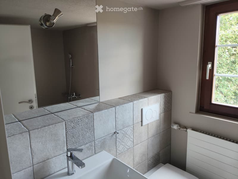 Charmante 3.5-Zimmer-Terrassenwohnung (2)