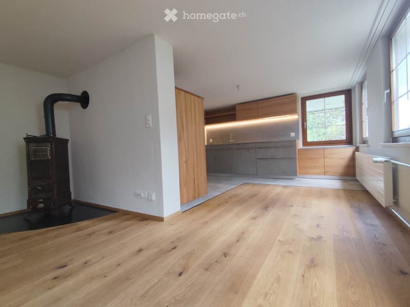 Charmante 3.5-Zimmer-Terrassenwohnung (1)