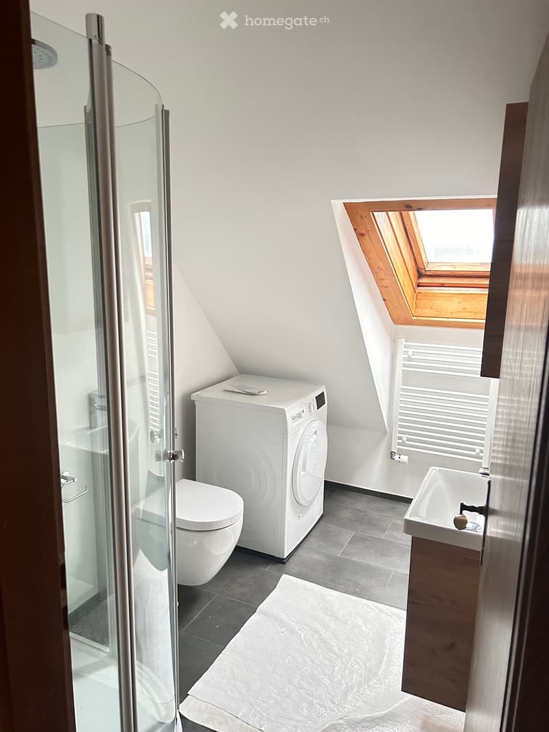 Charmante 2.5 Zi-Altbauwohnung mit riesiger Terrasse (5)