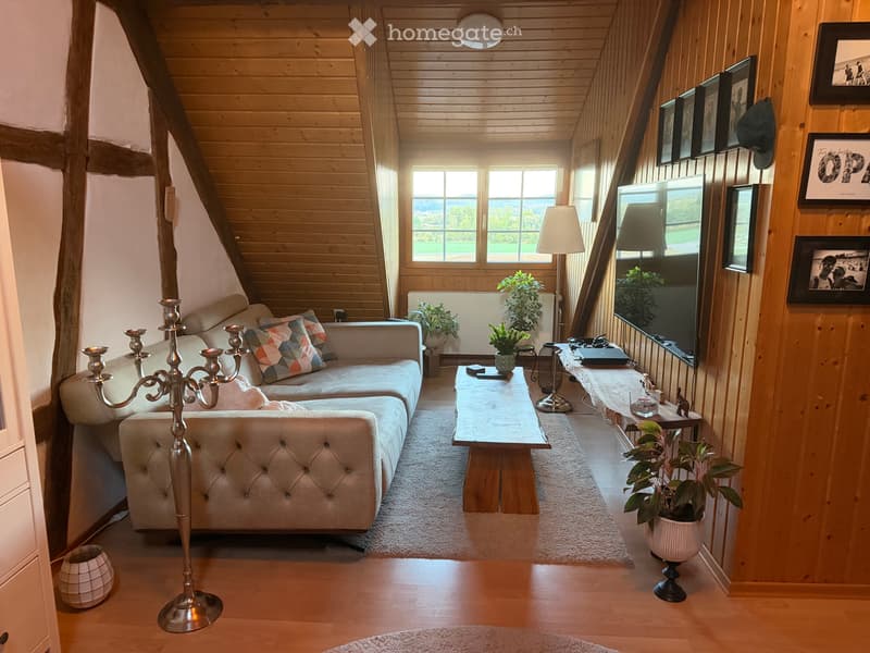 Charmante 2.5 Zi-Altbauwohnung mit riesiger Terrasse (2)