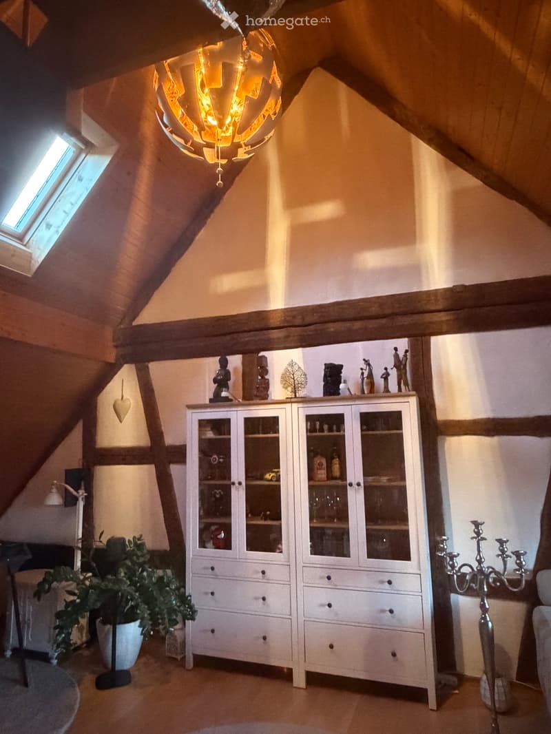Charmante 2.5 Zi-Altbauwohnung mit riesiger Terrasse (3)
