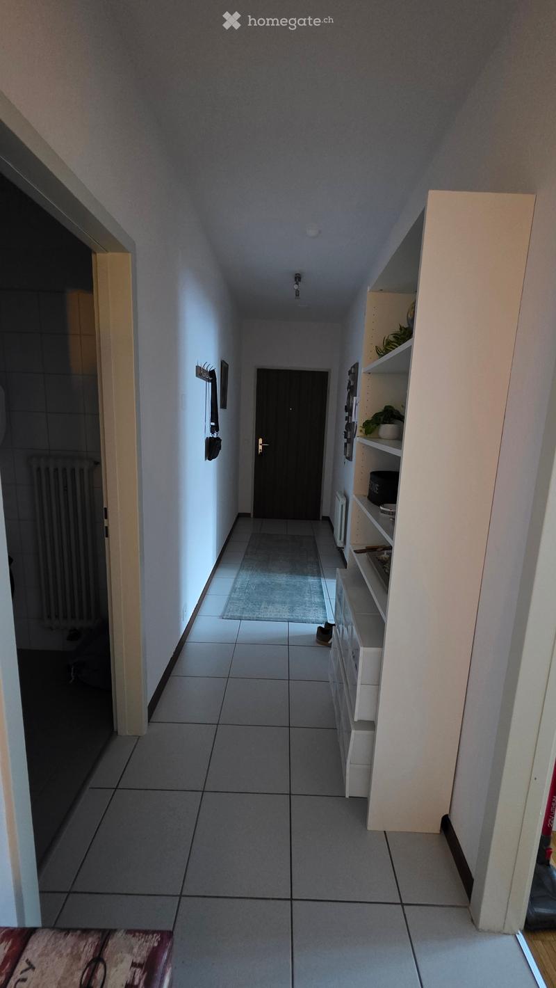 Appartamento a Bellinzona  Nord (3)