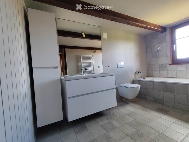 Charmante 6.5-Zimmer-Wohnung auf 3 Etagen (5)