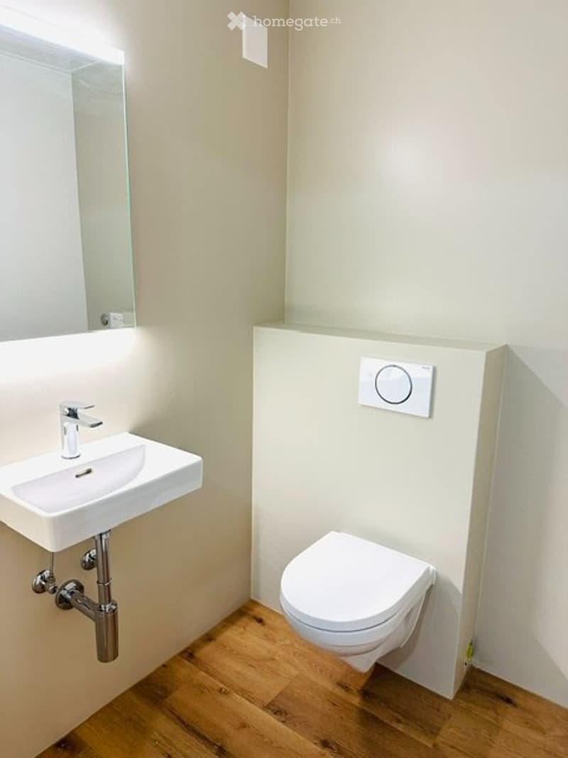 Vermiete neu renovierte 2,5 Zimmer Wohnung (4)