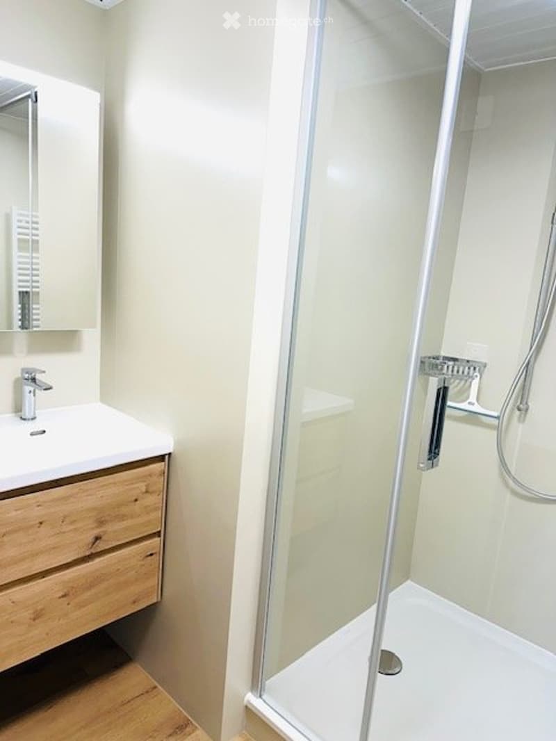 Vermiete neu renovierte 2,5 Zimmer Wohnung (3)