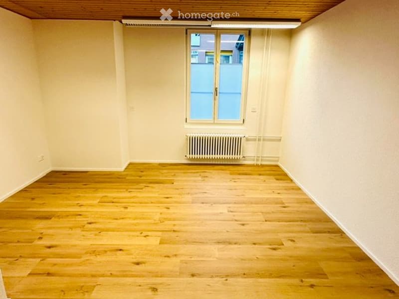 Vermiete neu renovierte 2,5 Zimmer Wohnung (2)
