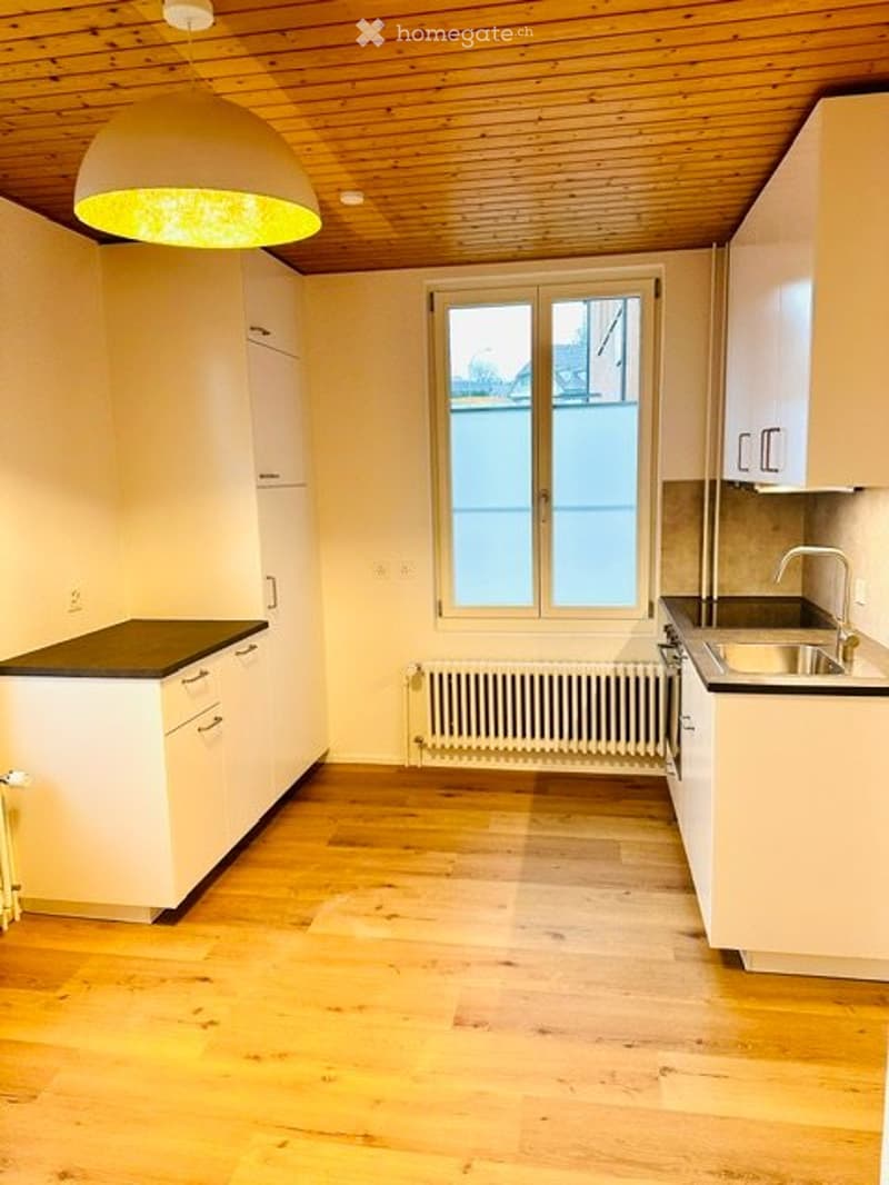 Vermiete neu renovierte 2,5 Zimmer Wohnung (1)