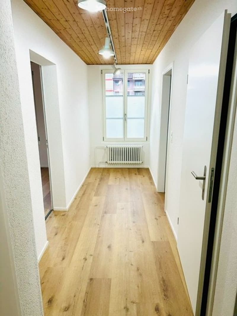 Vermiete neu renovierte 2,5 Zimmer Wohnung (5)