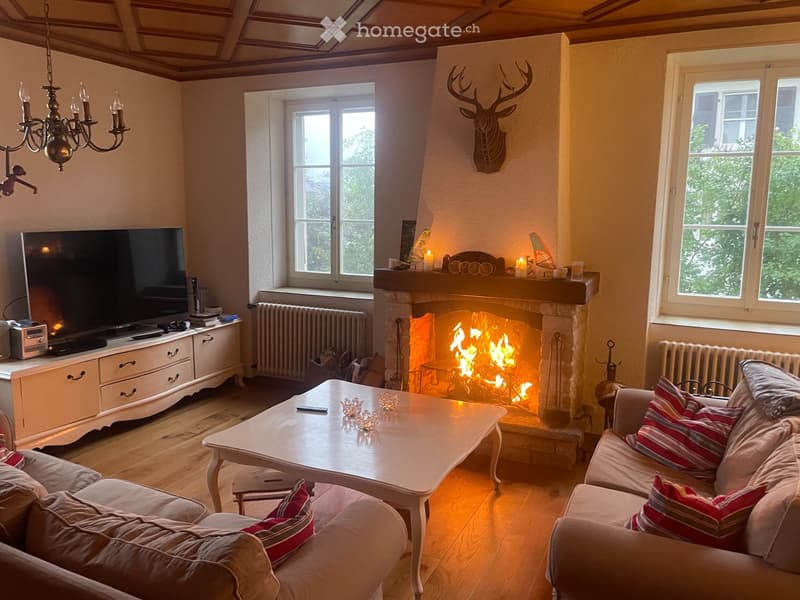 Cosy furnished groundfloor appartment with garden (4)