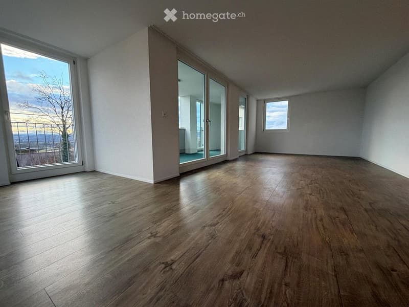 Moderne 5.5 Wohnung im Eigentumsstandard (1)