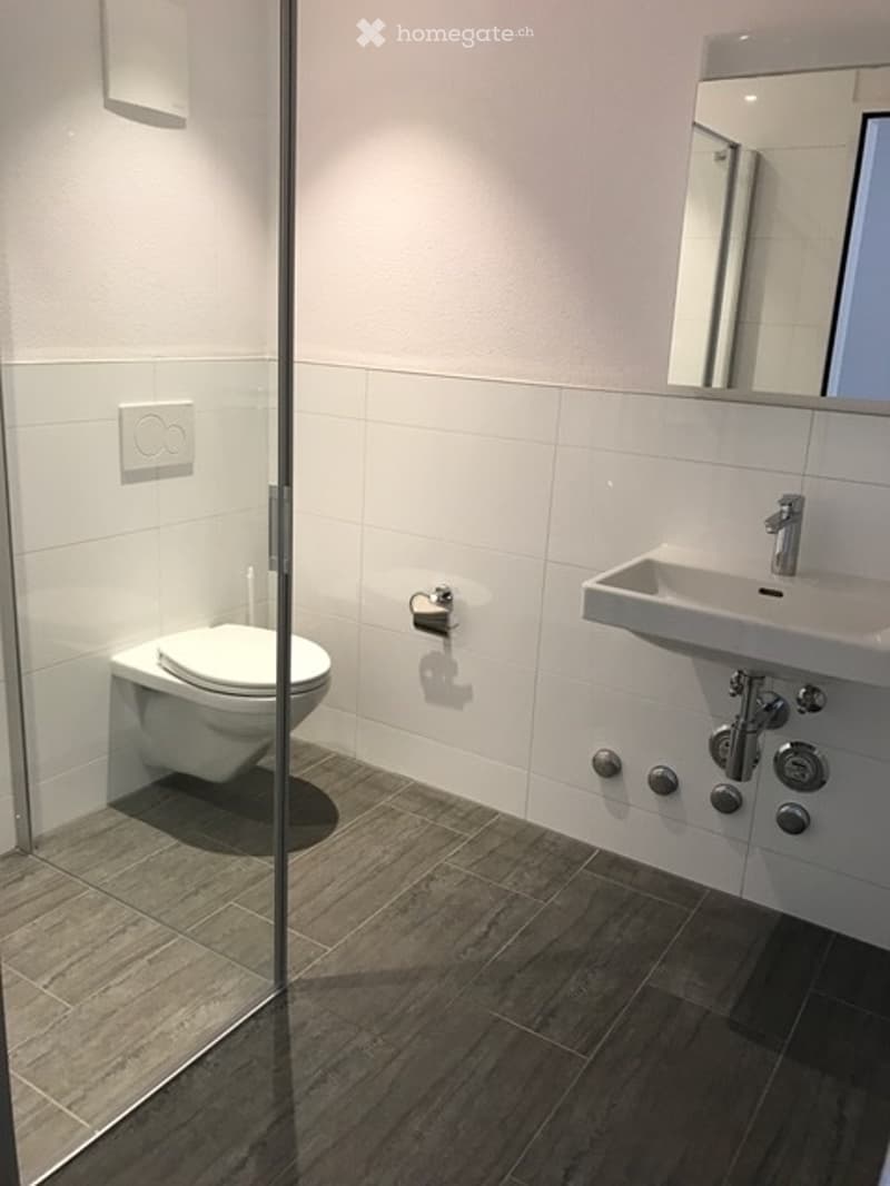 Helle, moderne 4.5 Zimmer-Wohnung mit Galerie (5)