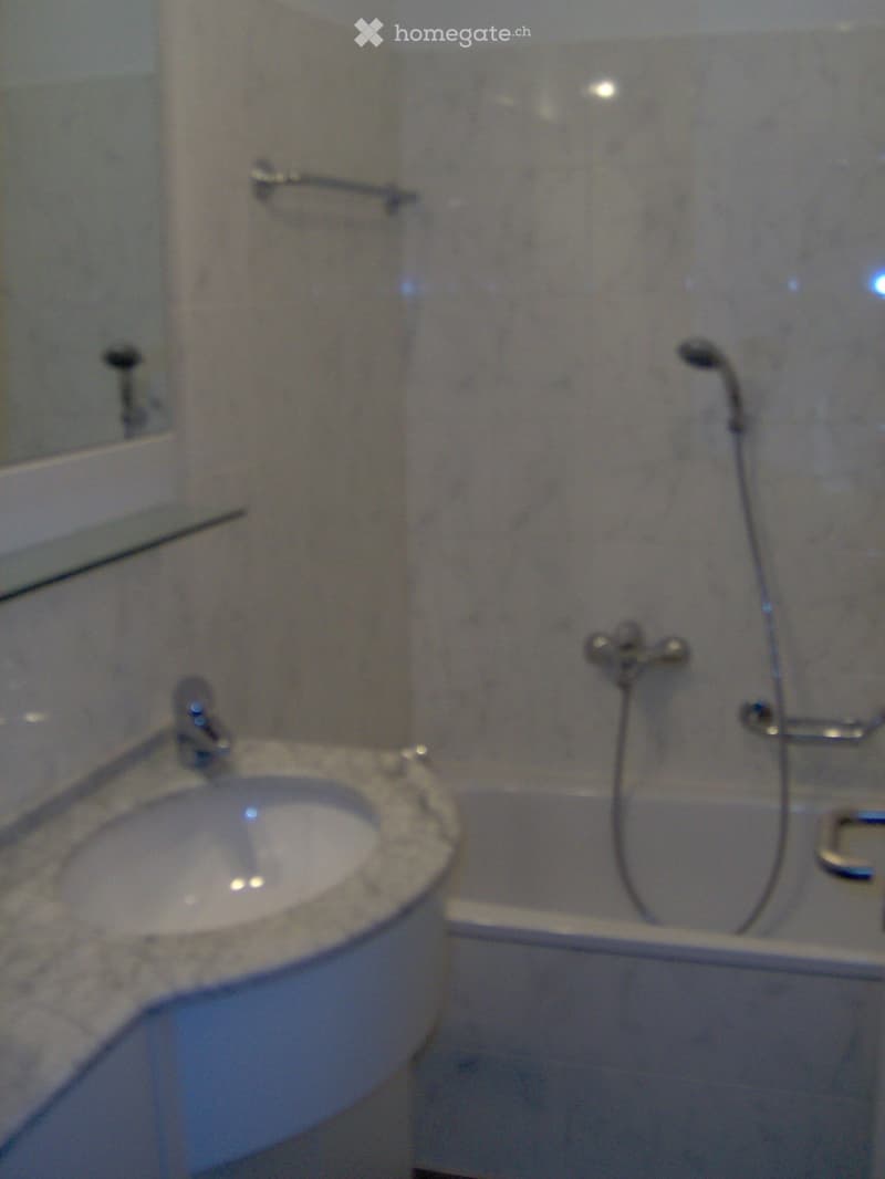 Massagno - affittasi 4.5 locali al PT con grande giardino (3)