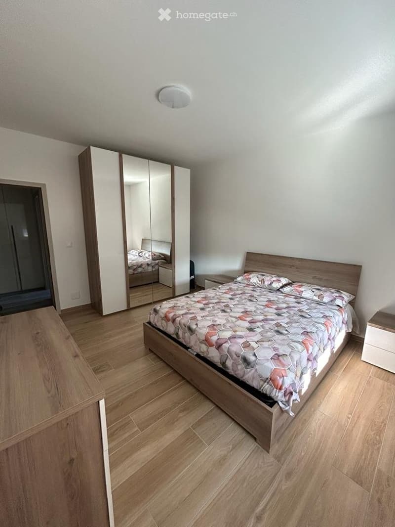 SUBENTRO APPARTAMENTO 2,5 LOCALI - MENDRISIO (4)