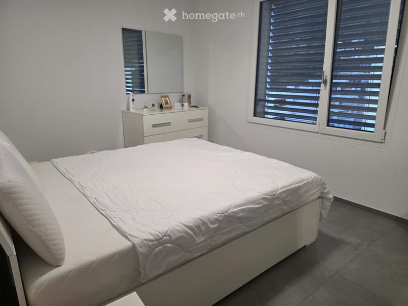 Cercasi subentrante appartamento 2.5 locali a S. Antonino (2)