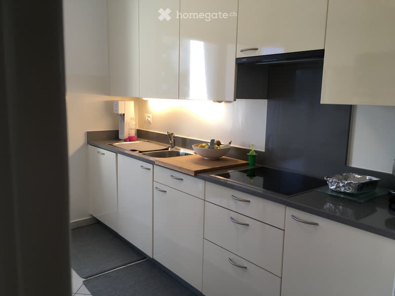 Affittasi appartamento 3 locali Bellinzona-Ravecchia (4)