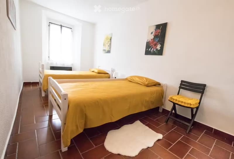 AMPIO APPARTAMENTO INDIPENDENTE SU 2 LIVELLI (4)