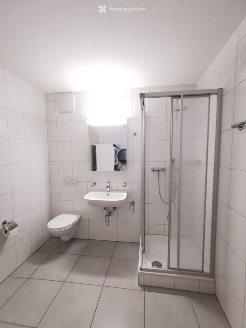 4.5 Zimmer, 107 m2, EG mit Garten (4)