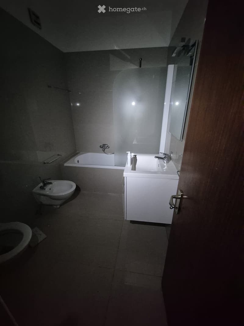 Ampio appartamento di 7 locali (3)