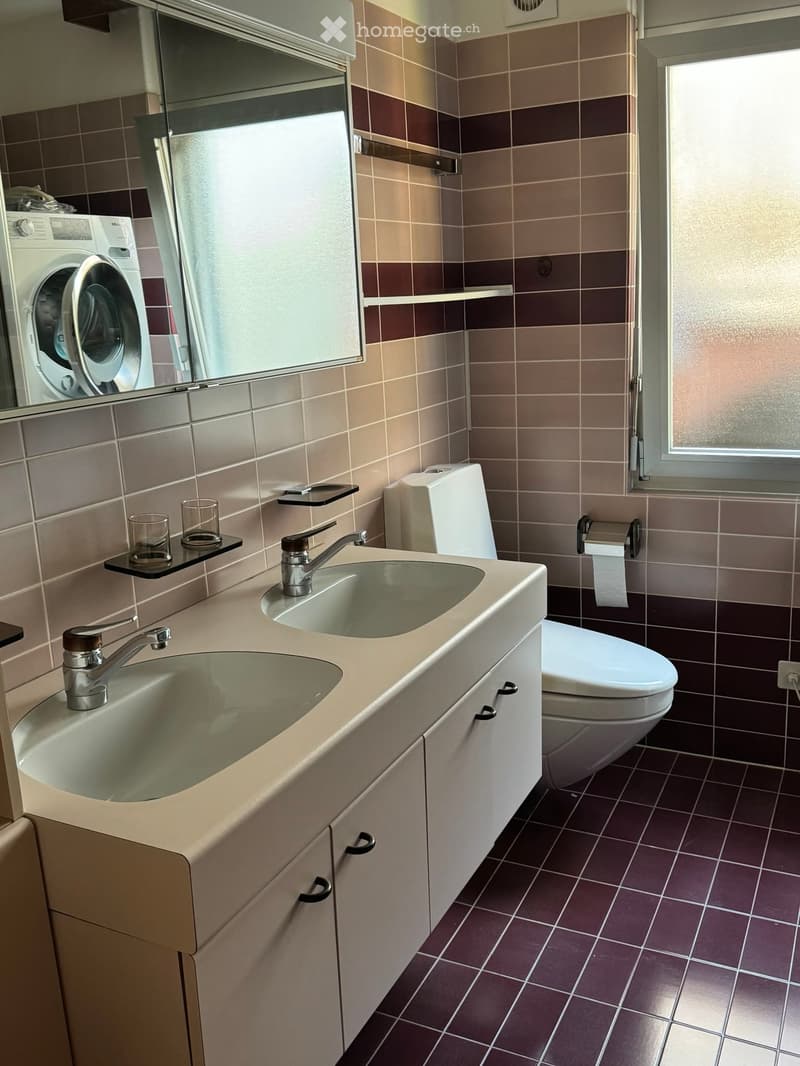 4.5 Locali Ronco S/Ascona (3)