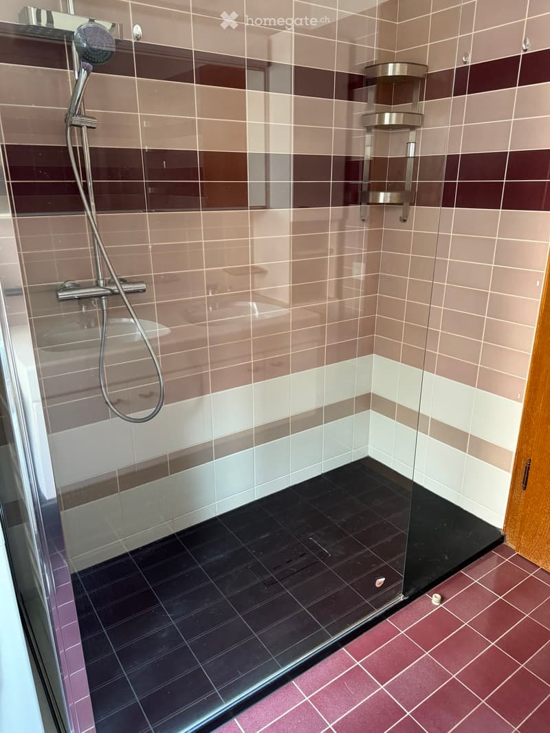 4.5 Locali Ronco S/Ascona (2)