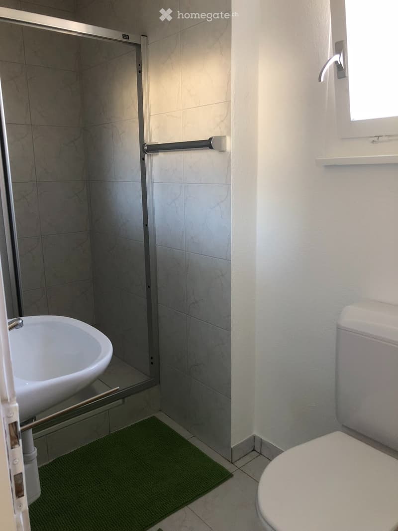 möblierte 2 Zimmerwohnung in alleinstehendem Ferienhaus (4)