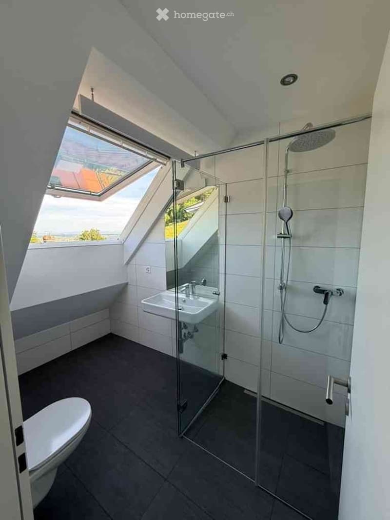 Wohnung am Waldrand in einem ruhigen Quartier (5)