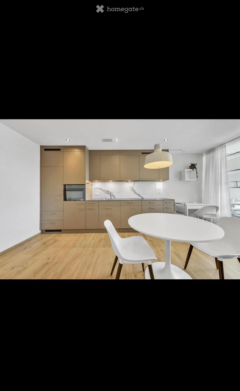 Möblierte 1,5 Zimmerwohnung inkl. Einstellplatz (2)