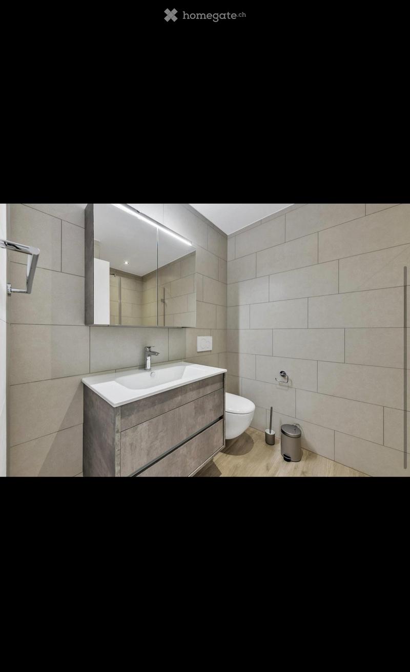 Möblierte 1,5 Zimmerwohnung inkl. Einstellplatz (4)