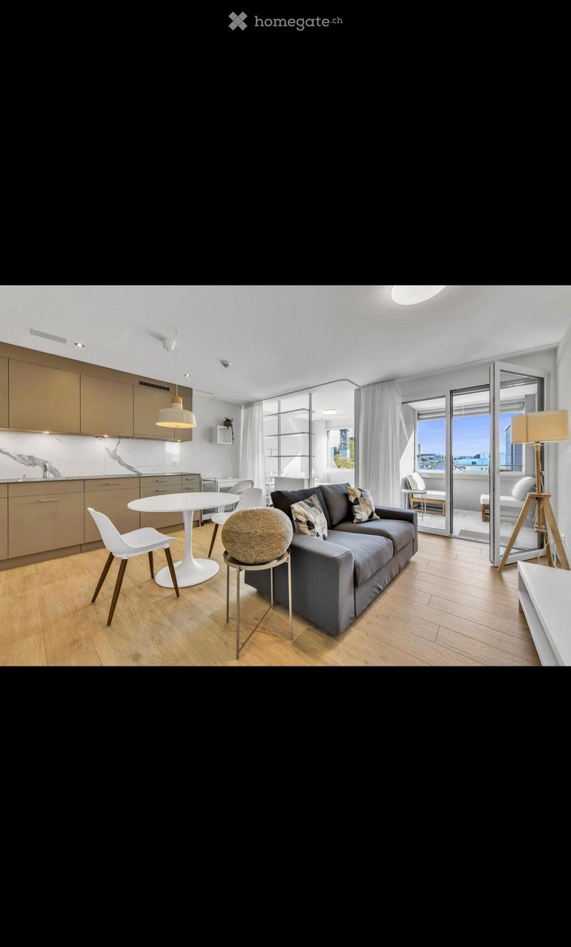 Möblierte 1,5 Zimmerwohnung inkl. Einstellplatz (1)