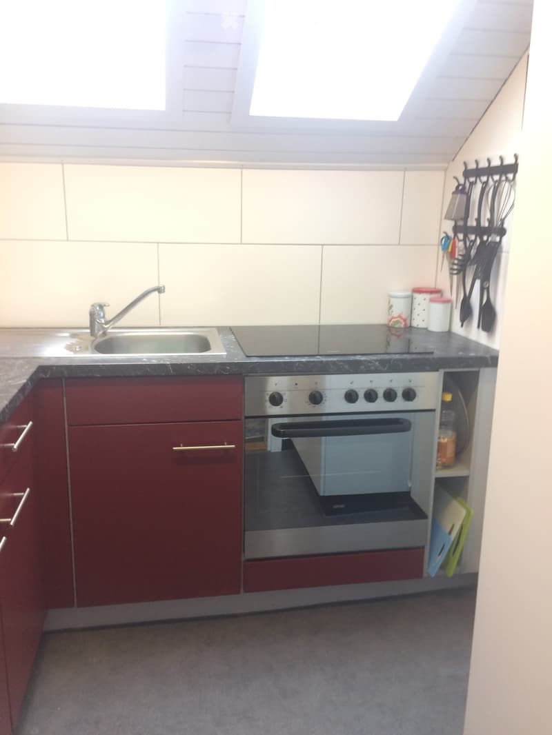Kleine 2.5 Zimmer Dachwohnung in Hochdorf zu vermieten (3)