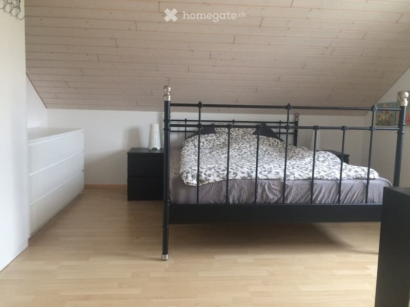 Kleine 2.5 Zimmer Dachwohnung in Hochdorf zu vermieten (2)