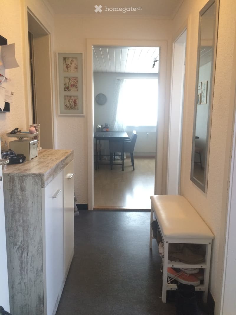 Kleine 2.5 Zimmer Dachwohnung in Hochdorf zu vermieten (5)