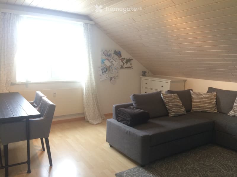 Kleine 2.5 Zimmer Dachwohnung in Hochdorf zu vermieten (1)