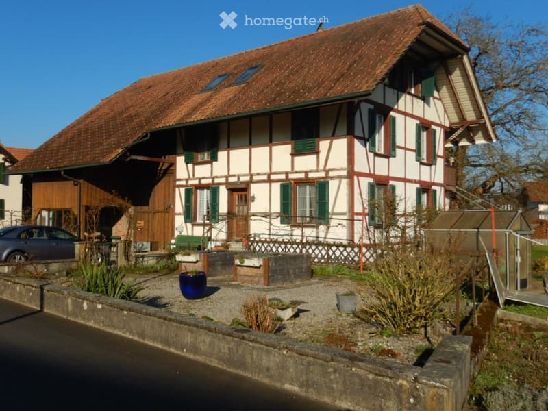 3 - Zimmer Dachwohnung (5)