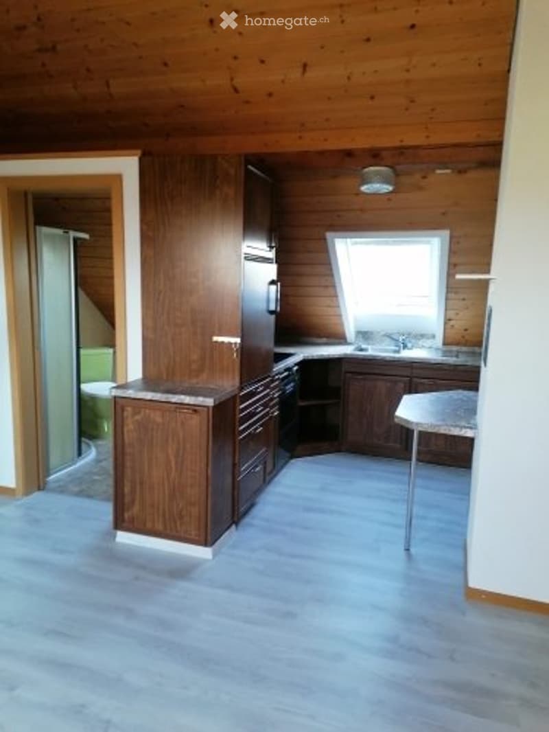 3 - Zimmer Dachwohnung (1)
