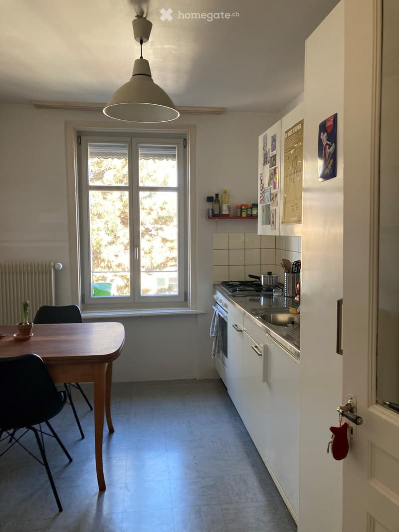2 Zimmer Wohnung im Breitenrain (3)